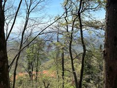 -莫干山风景区