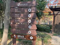 -宝界山林公园