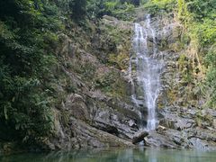 -鼎湖山风景区