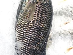 -都斛海鲜街