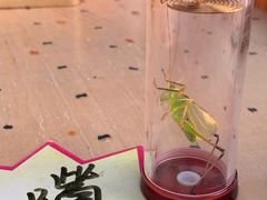 -中环花鸟鱼虫市场