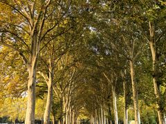 -河南省黄河迎宾馆