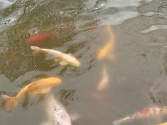 -北京市海淀外国语实验学校