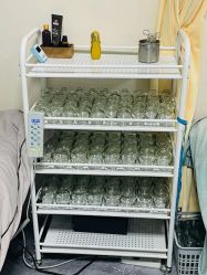 -苗塑堂减肥艾灸