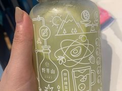 -野萃山·潮汕厚果汁(十亩地店)