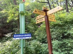 -老象峰