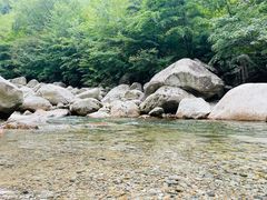 -青峰峡国家森林公园