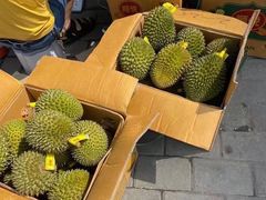 -双福水果批发市场