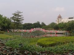 -映月湖公园