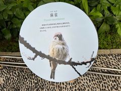 -东莞植物园