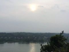 -枫林花海