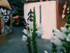 -百里峡七彩艺术小镇