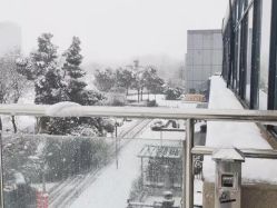 -安琪朵朵独栋花园月子中心