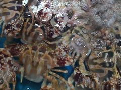 -清水湾3号(东方小周海鲜店)