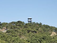 -北岭山森林公园