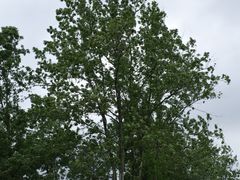 -中国天府农业博览园