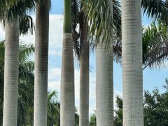 -西涌国际滨海旅游区