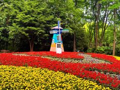 -上海共青森林公园