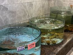 -新海利海鲜城·41年珠海老字号(夏湾店)