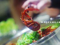 -吉友粥底火锅(方斜路店)