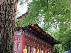 -华清宫景区