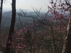 -天台山赤城山景区