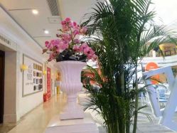 点击看大图 -禾丽康美医疗美容医院