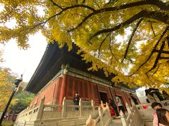 -红螺寺