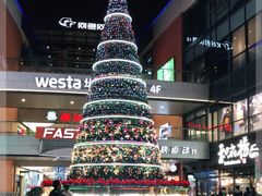 -浦江城市生活广场(江月路店)