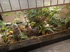 -鹤祥宫·影院足道·SPA连锁(苹果园店)