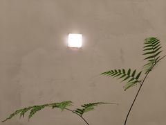 -小团圆糖水铺(襄阳南路店)
