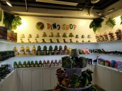 -恐龙探索乐园(磁器口店)