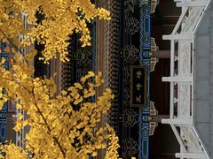 -金城公园