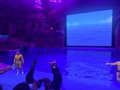 -芜湖新华联大白鲸海洋公园