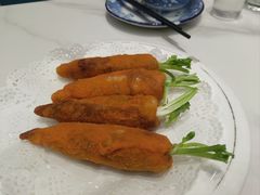-丁老爷子苏香圆