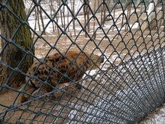 -大连森林动物园