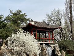 -国家植物园南园