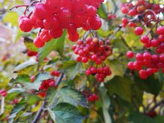 -中国建设银行哈尔滨培训中心