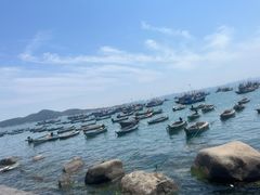 -海源公园