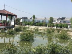 -成都美盈都市现代农业示范园