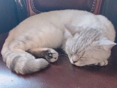 -不舍昼夜咖啡馆