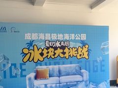-海合安成都极地海洋公园