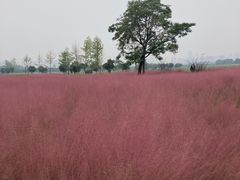 -汉长安城未央宫国家考古遗址公园