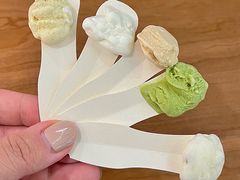 -野人先生Gelato(上海长宁龙之梦店)
