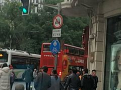 -BUS TOUR观光巴士