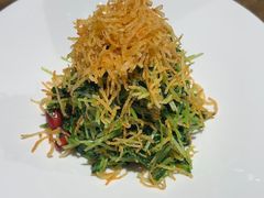 巧拌豆苗-四季民福烤鸭店(西单华威约饭街店)