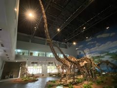 -自贡恐龙博物馆