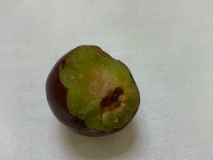 -东江海鲜酒家(艺都分店)