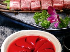 -渝味晓宇火锅(合川路店)