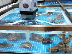 水产区-七鲜超市(通州ONE店)